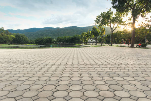Best Local Driveway Pavers  in Holly Lake Ranch, TX