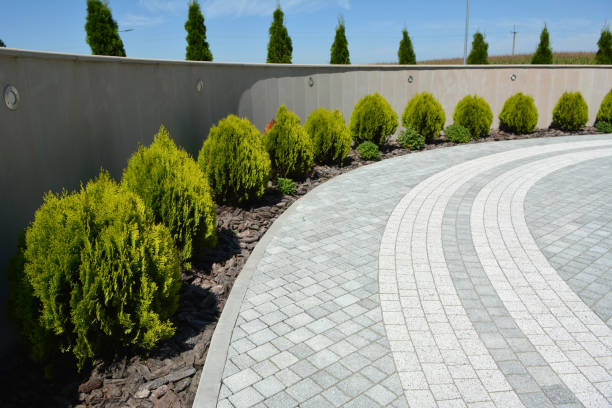 Best Permeable Paver Driveway  in Holly Lake Ranch, TX